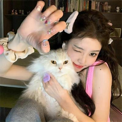 多情的野猫