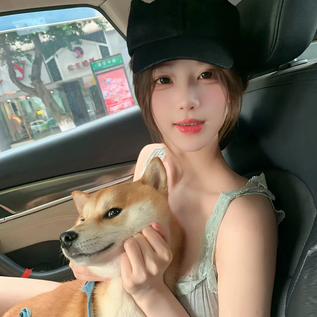 南极物语